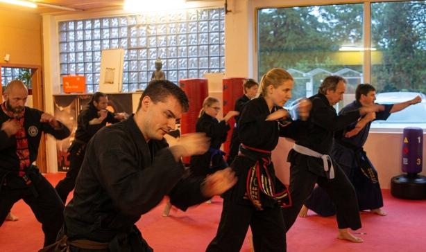 INSPIRE Kickboxen